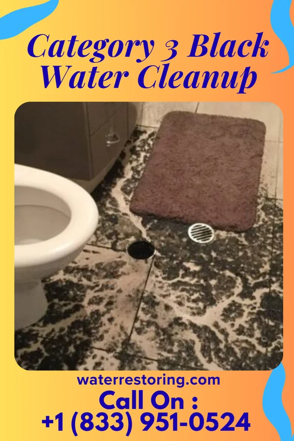 Category 3 Black Water Cleanup in Corder, MO