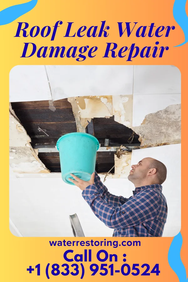 Roof Leak Water Damage Repair in Corder, MO