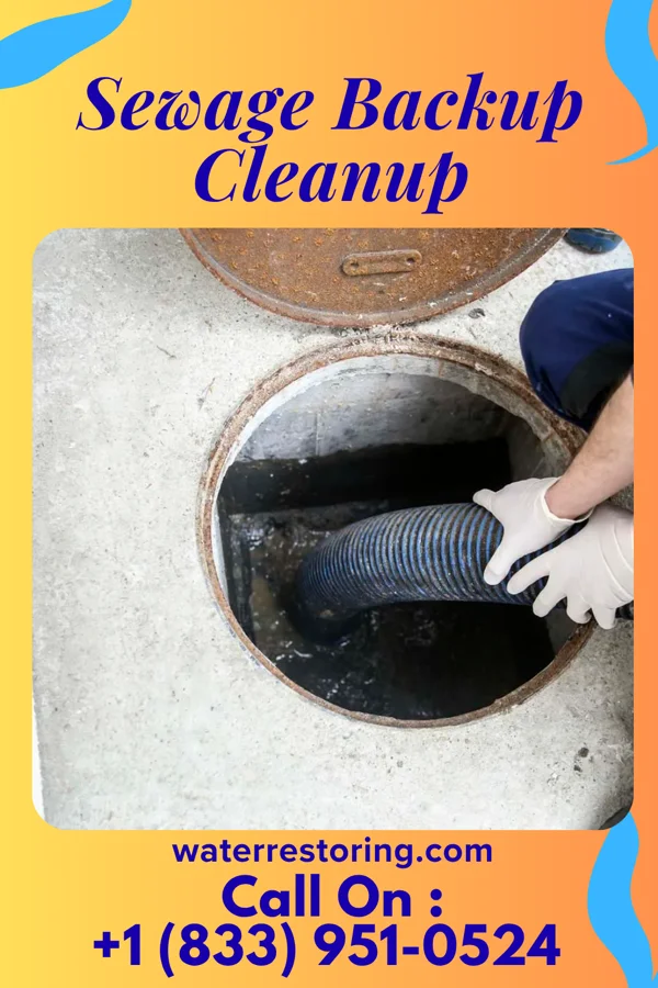 Sewage Backup Cleanup in Corder, MO