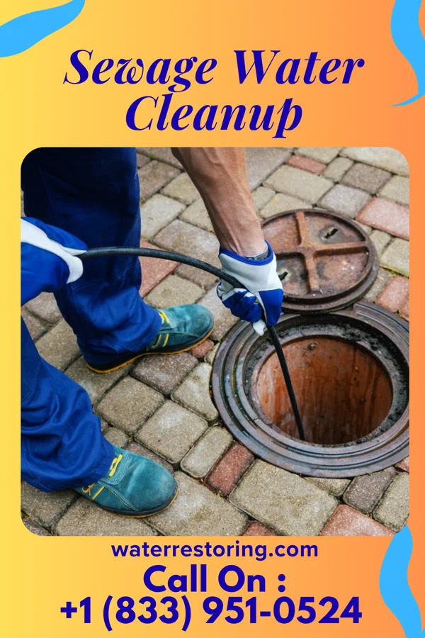 Sewage Water Cleanup in Corder, MO