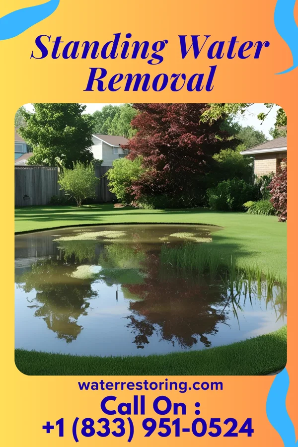 Standing Water Removal in Corder, MO